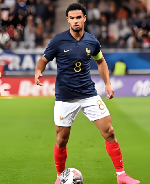 扎伊爾 - 埃梅里：困境中尋突破，目標(biāo)重返一線逐夢(mèng)世界杯